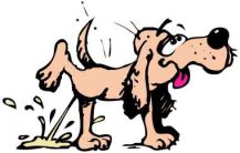 clean-dog-pee-from-carpet